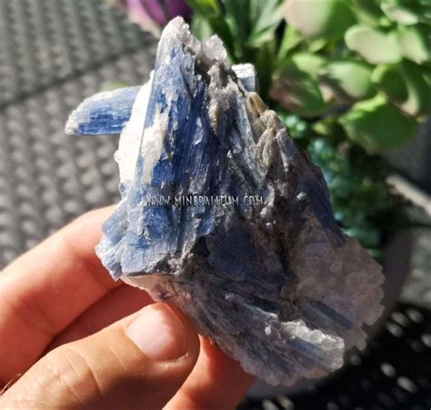 Cianita Distena Mineralitum Exclusive Minerals Tienda Minerales Online