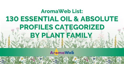 List Of 130 Essential Oil Profiles Monographs Categorized By Plant