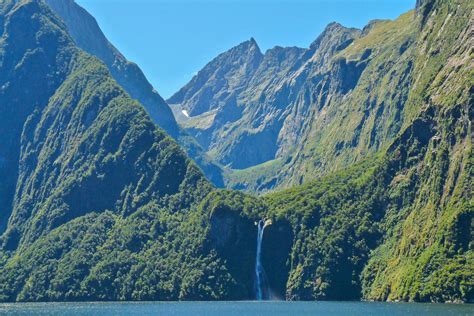 Milford Sound Bootstour In Neuseeland Swiss Nomads