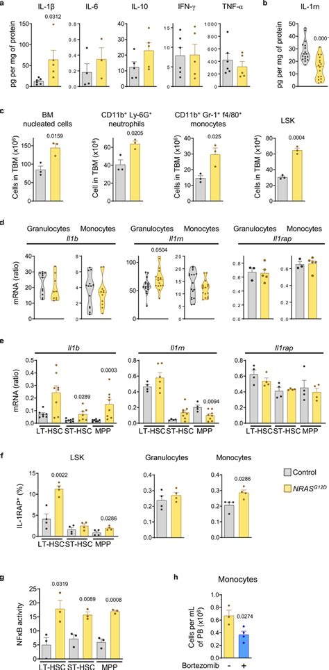 Low Il Rn Is Present In A Mouse Model Of Pre Leukemic Myelopoiesis A