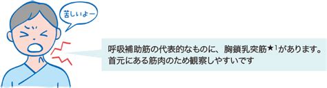 人工呼吸療法とは？ 看護roo [カンゴルー]