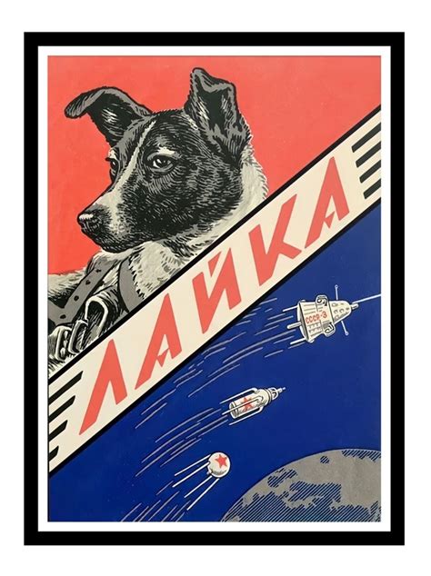 Pôster Laika 1957 Comprar em Soviet Prop