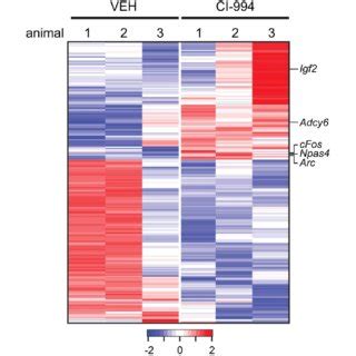 An example of a heat map showing gene expression Reprinted from Gräff