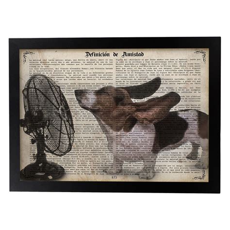 Affiche De Chien Avec Ventilateur Feuilles Danimaux Avec Des