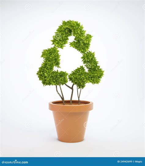 Plant in a pot shaped like stock image. Image of arrow - 24942699