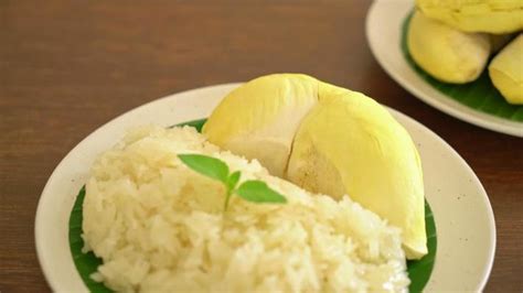 Durian Stock Video Footage for Free Download