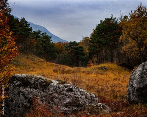 L Incanto D Una Radura Nel Bosco Autunnale Stock Photo And Royalty