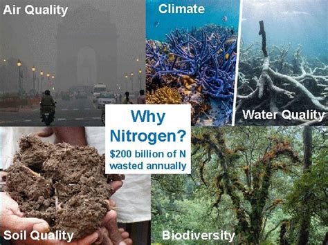 role  nutrient management  agriculture  addressing