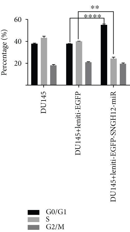 Negative Effects Of Snhg Knockdown On The Proliferation Of Pca Cells