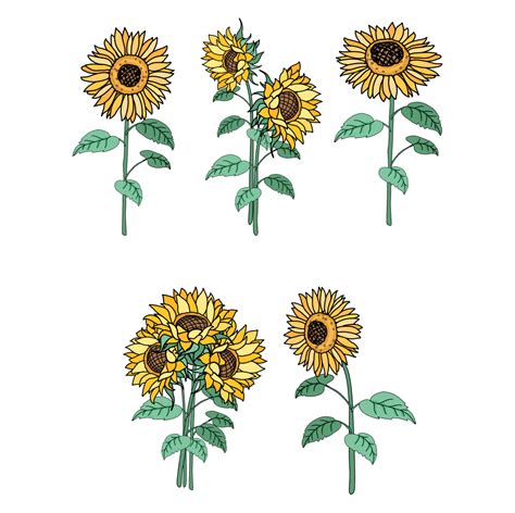 Realistic Sunflower Svg Masterbundles