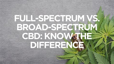 What Is Full Spectrum Vs Broad Spectrum Cbd Apotheca