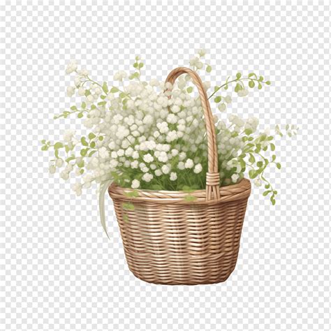 Baby Breath Flower In Basket Png PNGWing