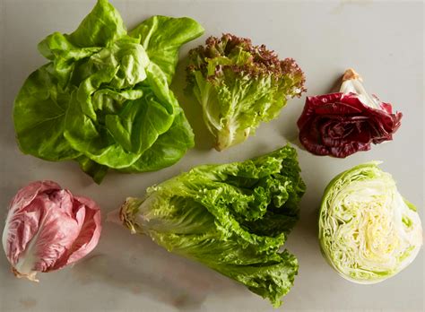 Lettuce Varieties List