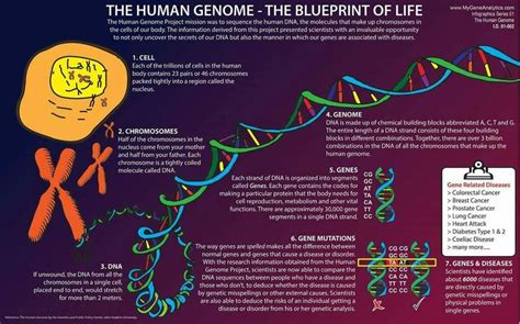 Scientists Have Linked Over 6000 Diseases And Disorders To The