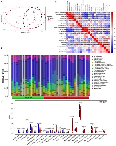 Frontiers Bioinformatics And Machine Learning Methods To Identify Fn