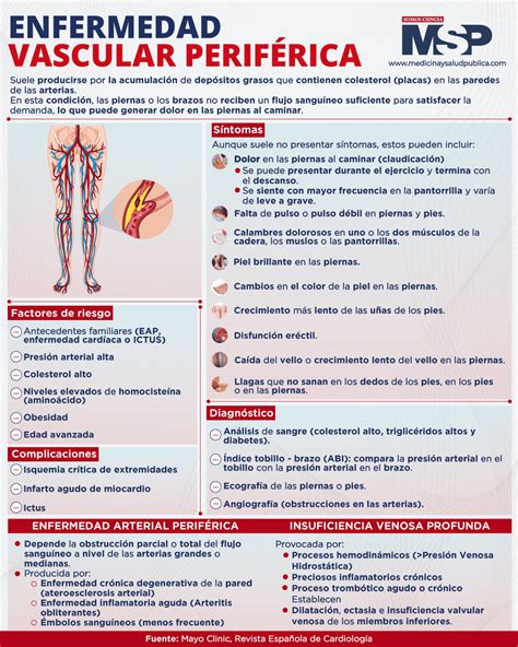 Enfermedad Arterial Perif Rica Infograf A