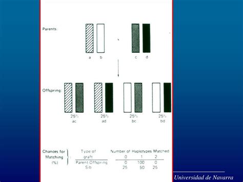 Ppt Dpto De Inmunología Universidad De Navarra Powerpoint