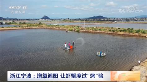 央视关注宁波：多举措共施 海水养殖户科学应对高温天