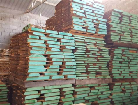 Beech Wood Uses And Properties Mijatovic Ltd Wood Supplier