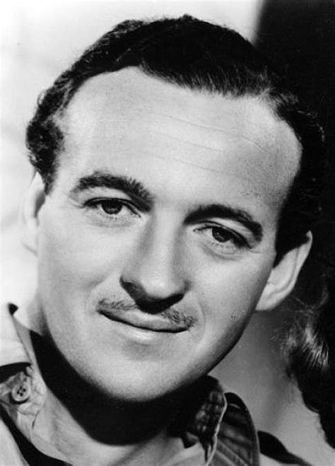 Sala66 - David Niven, 1939 | Classic film stars, David niven, Movie stars