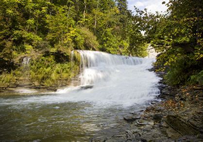 Fall Creek Gorge – CornellBotanicGardens