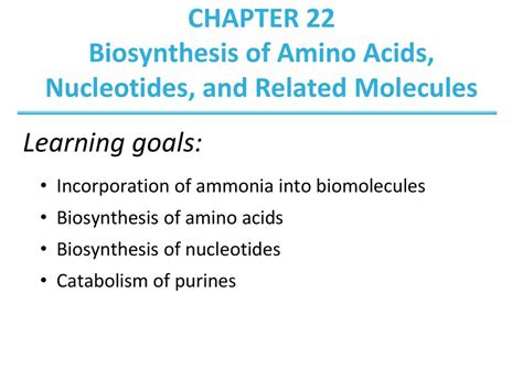 22 Biosynthesis Of Amino Acids Nucleotides And Related Molecules