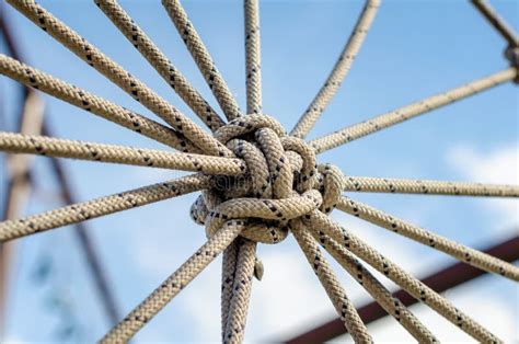 Many Ropes And One Big Knot Close Up Stock Image Image Of Compound