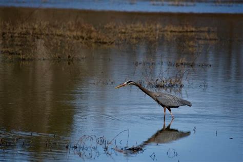 Premium Photo Chattahoochee River National Recreation Area