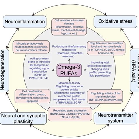 Figure Hypothesized Antidepressant Mechanisms Of Omega Pufas Acting On