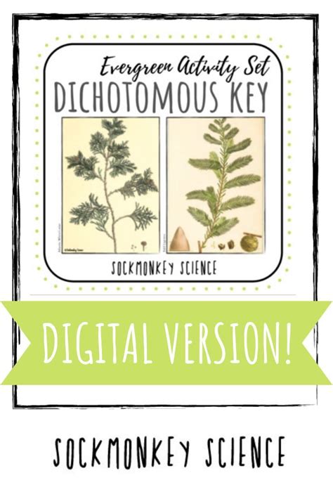 Distance Learning Science Digital Dichotomous Key {coniferous Tree Virtual Lab} Learning