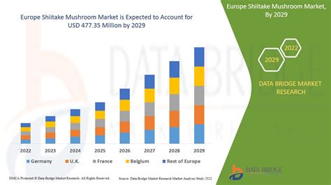 Europe Shiitake Mushroom Market Players Size Share Segmentation