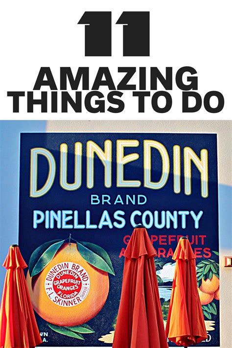 Amazing Things To Do In Dunedin Florida Artofit