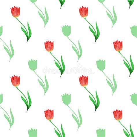 Silhouettes Tulips White Background Stock Illustrations 141