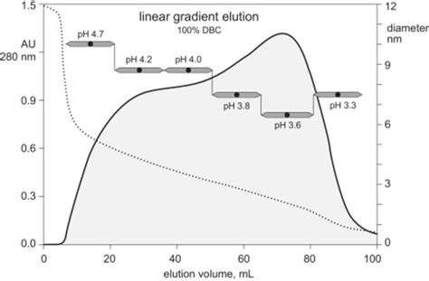 Igg Size Across Protein A Elution By Linear Ph Gradient The Horizontal Download Scientific