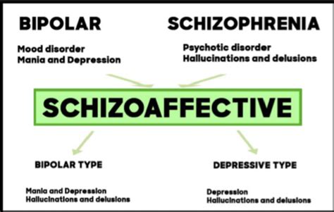 Schizophrenia Spectrum Psychotic Disorders Flashcards Quizlet