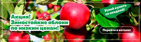 Акции - Интернет-магазин саженцев "Омский Садовод"