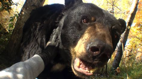 Joji - Past Won't Leave My Bed Chords - Chordify