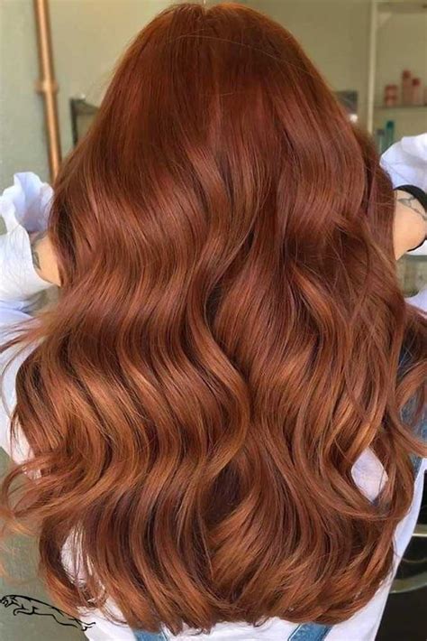 Ginger Beer Hair Color Aleckaivaras