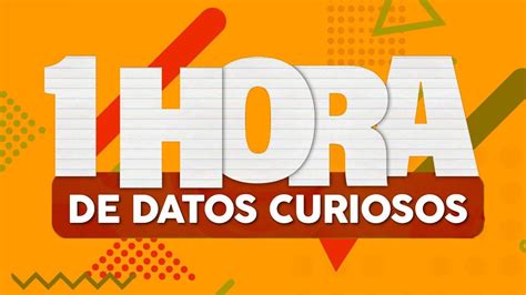 1 HORA De DATOS CURIOSOS YouTube