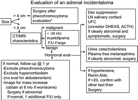 Suggested Evaluation Of An Incidentally Found Adrenal Mass Surgery Download Scientific