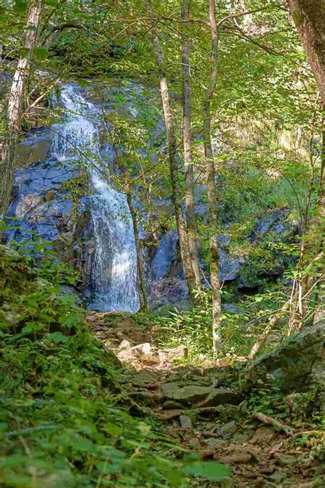 The Best Waterfalls In Shenandoah National Park