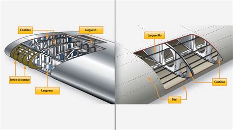 Alas De Avión Tipos Estructura Y Futuro Tmas Aviación