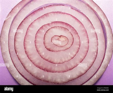 Red Onion Rings Close Up Of Sliced Red Onion Stock Photo Alamy