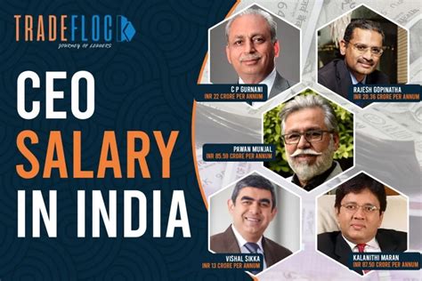 Check The Top Highest Paid CEO Salary In India In 2024