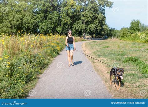 Long Automatic Dog Leash Woman On A Walk With A Dog American Stafford