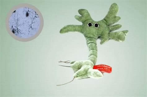 Plush Dolls as Microbes (20 pics) - Izismile.com