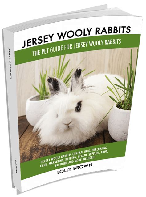 Lolly Brown | About Jersey Wooly Rabbits