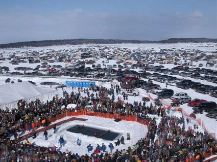 My Crazy Mind: Eelpout Festival Facts