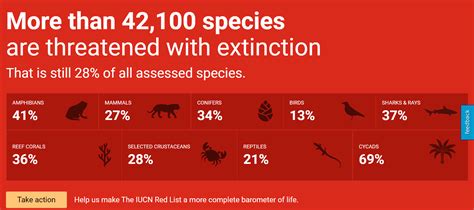 Biodiversità 42mila specie animali rischiano l estinzione Info Data