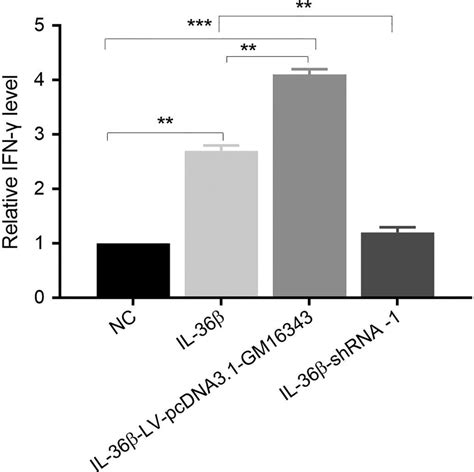 Interferon γ Ifn γ Secretion In Cd8⁺t Cells Overexpressed Or Knocked